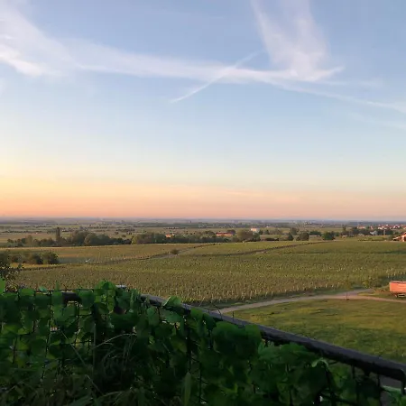 Pfalzrebel Neustadt an der Weinstrasse